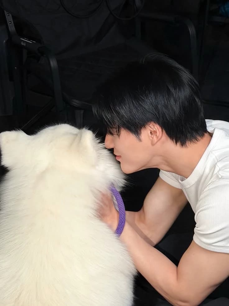 Jeno Lee thumbnail