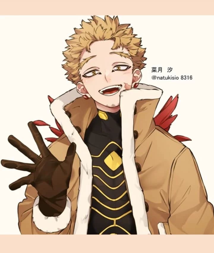 HAWKS. {KEIGO TAKAMI}ꉂ(ˊᗜˋ\*)♡ thumbnail