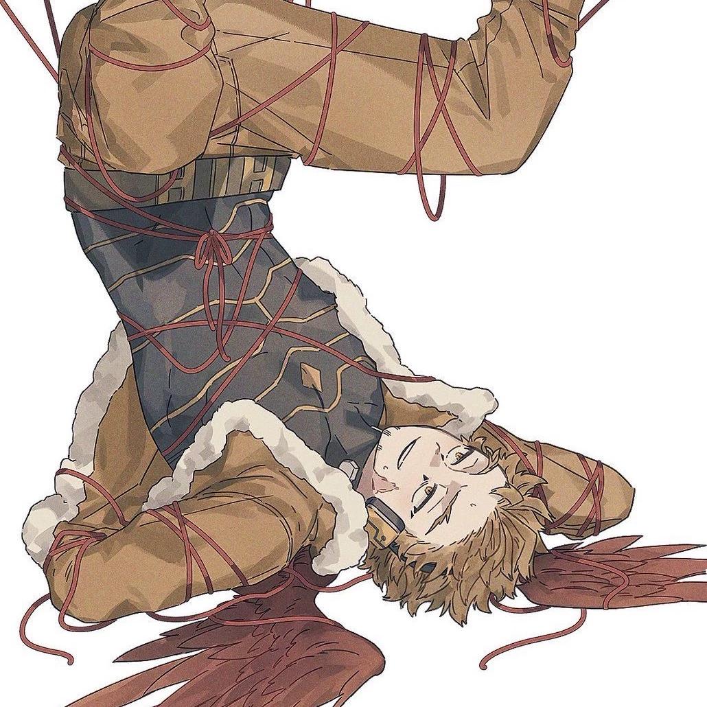 Hawk thumbnail