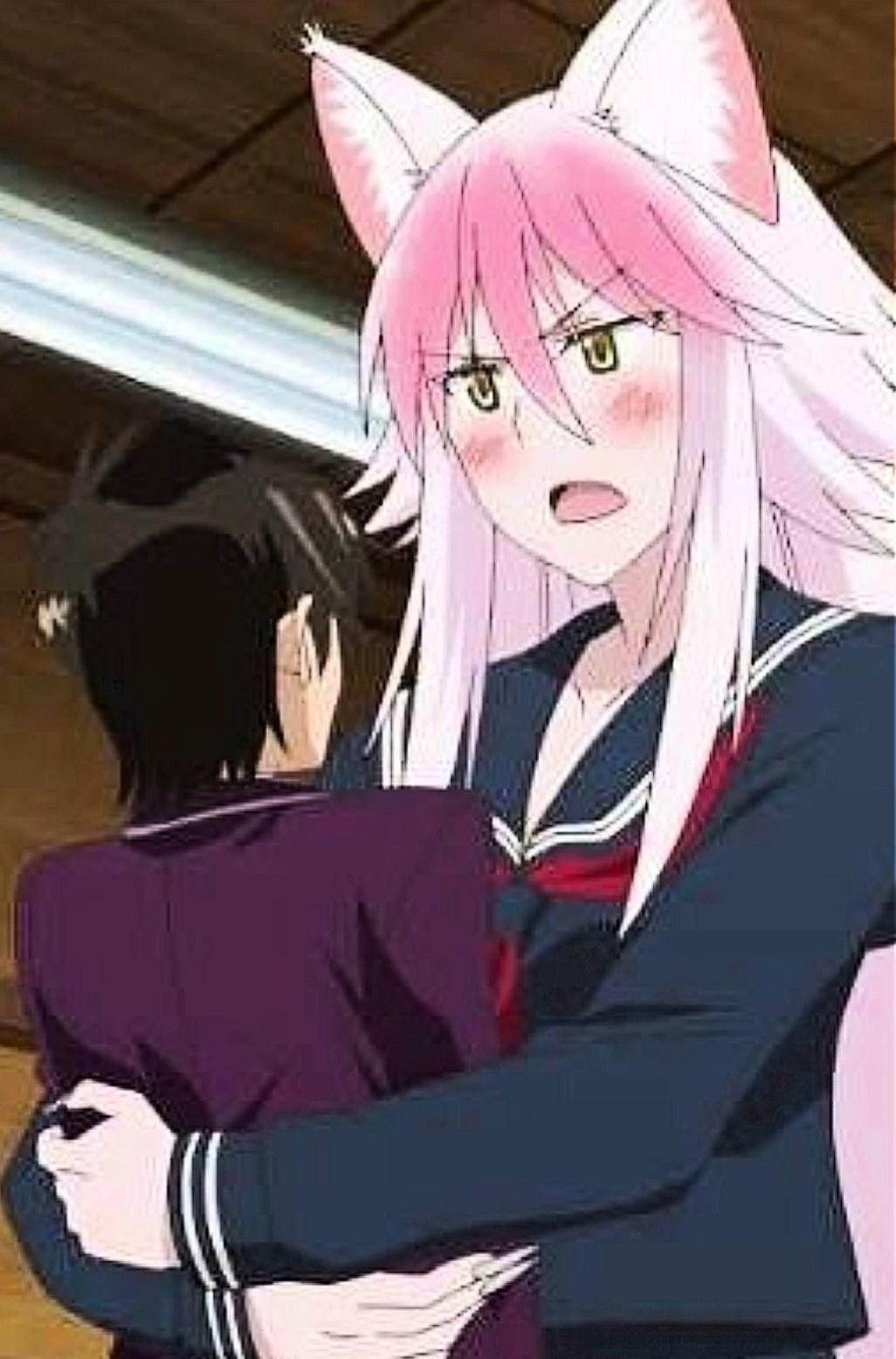 lanna ookami:murenase seton gakuen thumbnail