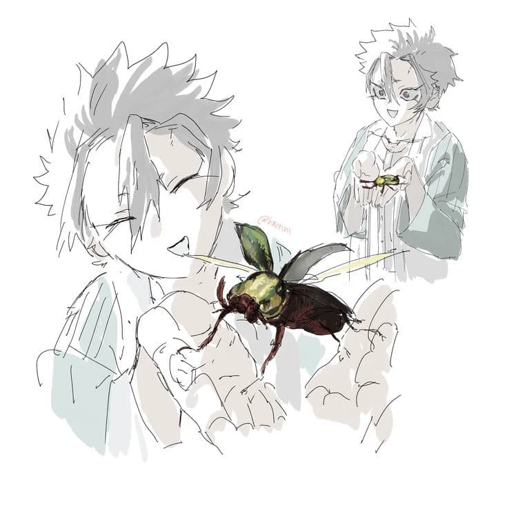Shinazugawa Sanemi  thumbnail