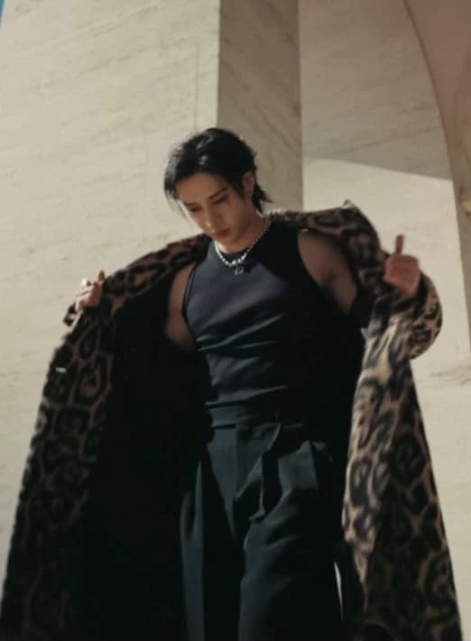 Bang Chan  thumbnail