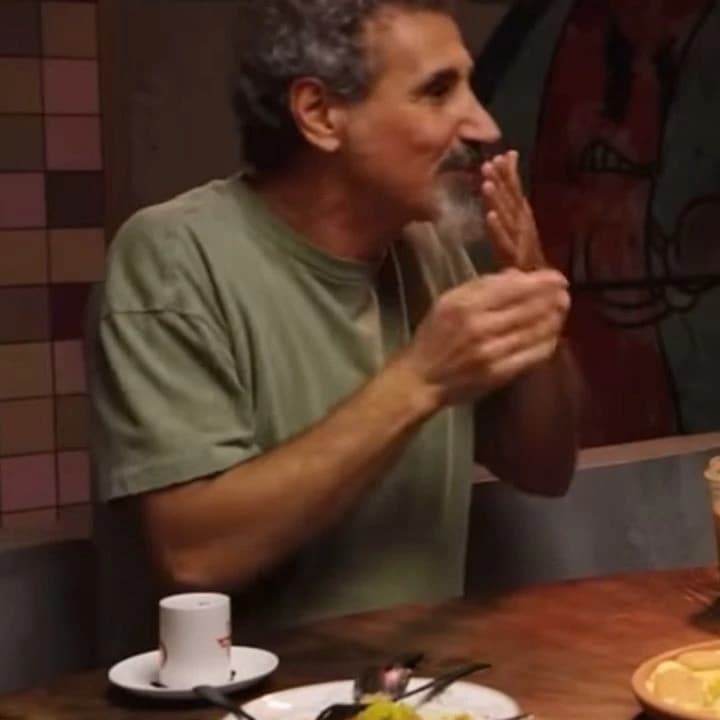 Serj Tankian thumbnail
