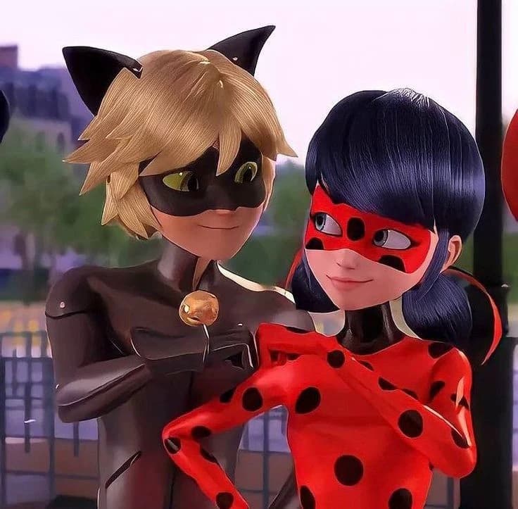 ladybug e Cat Noir thumbnail