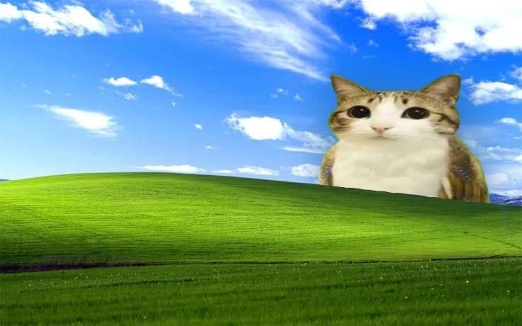 RON thumbnail