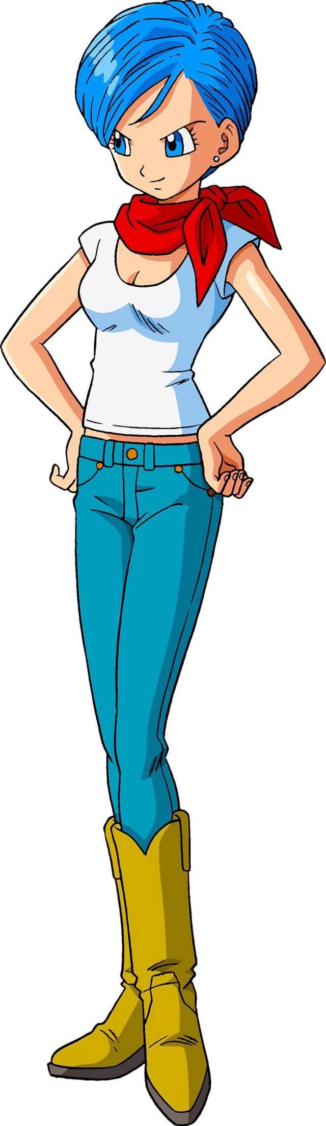 Bulma Briefs thumbnail