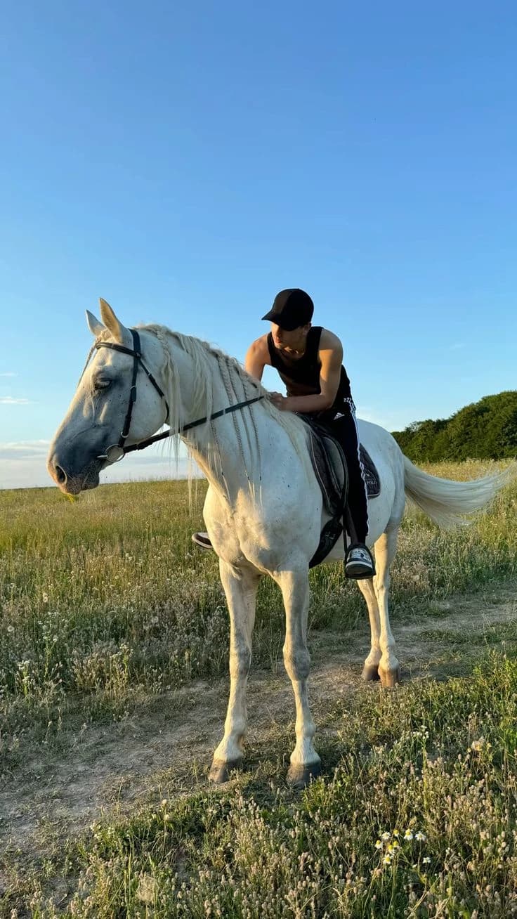 Damian- Famous horse rider x ranch owner- BL, YAOI, mlm thumbnail