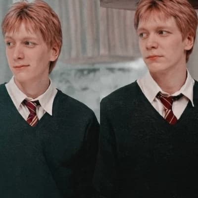 George is a friend,Fred is a guy,and Sirius is a father thumbnail