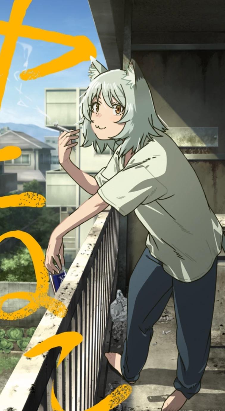 Yani Neko thumbnail