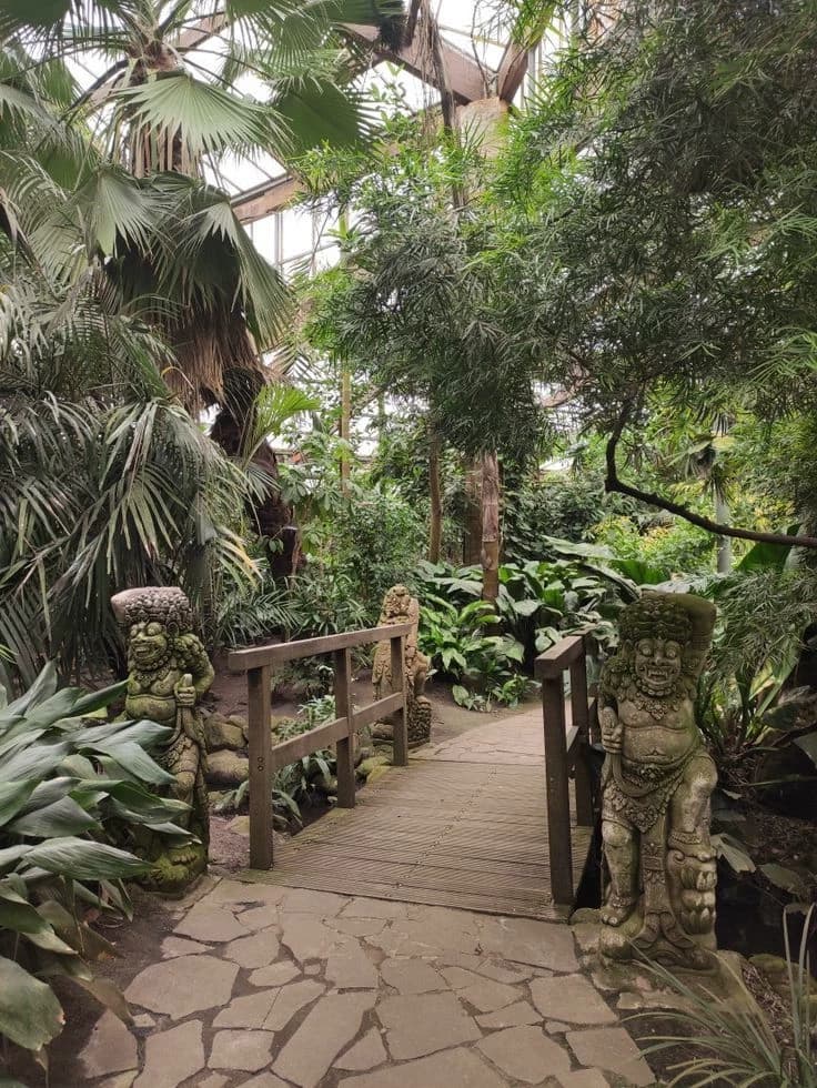 Jungle Adventure Zoo thumbnail