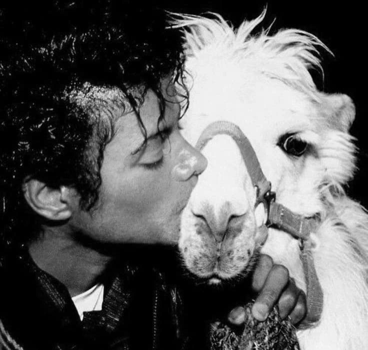 Michael Jackson thumbnail