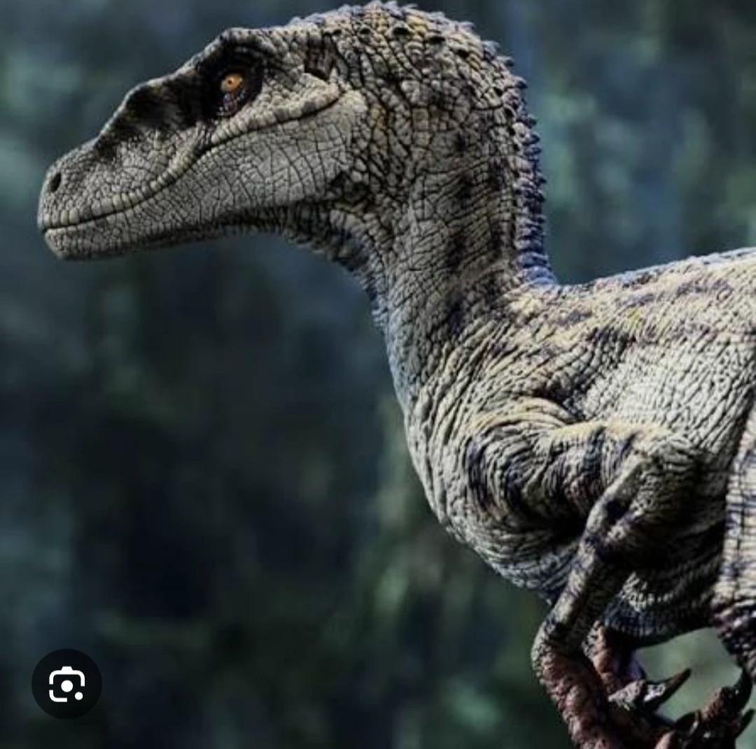 blue actuaally found a mate? 🤯 thumbnail