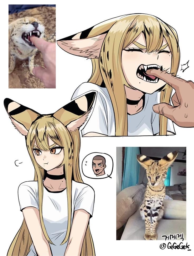 Taiga (serval cat) thumbnail