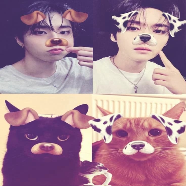 minsung  thumbnail