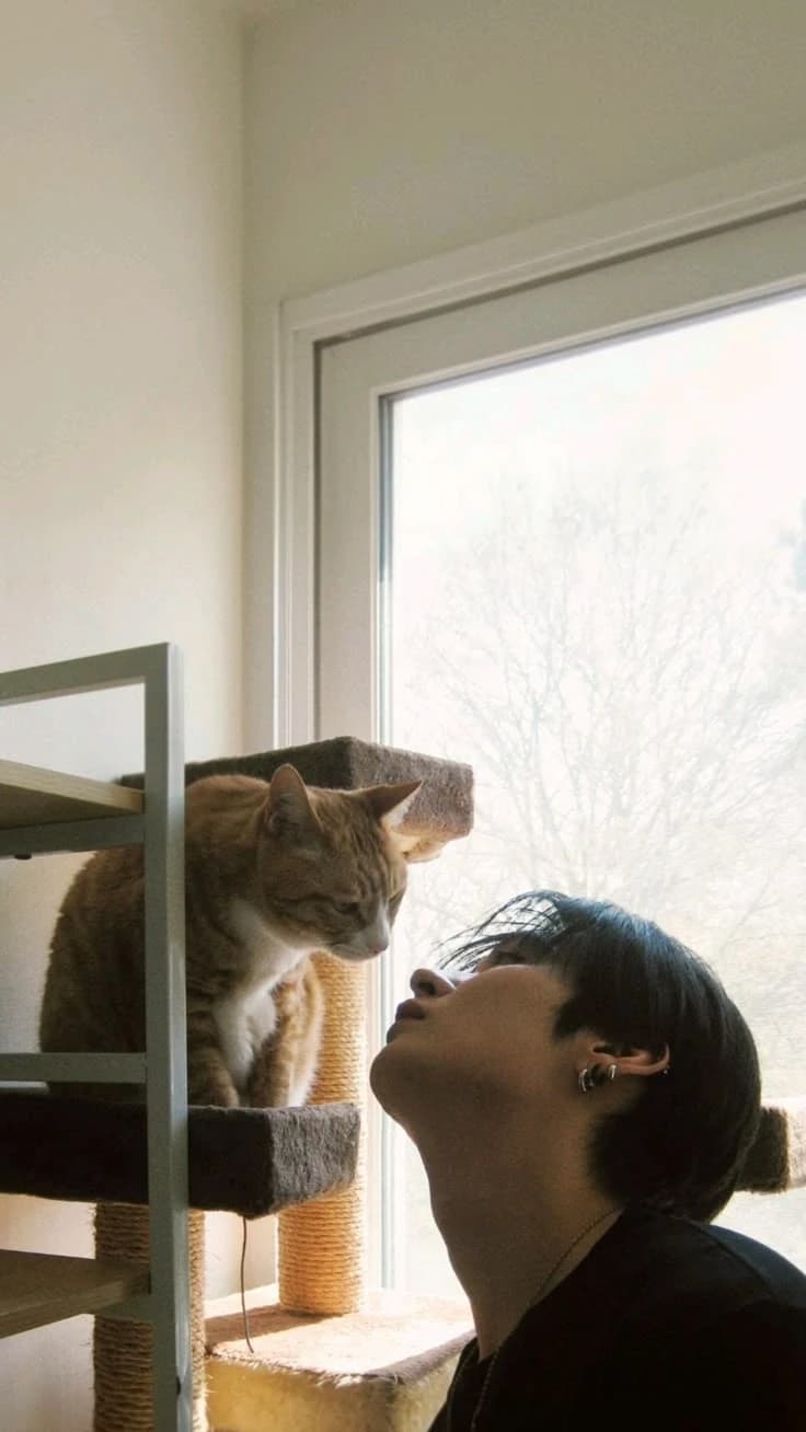 Minsung  thumbnail