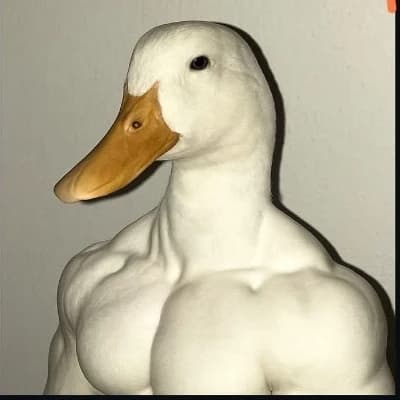 Chadwick Mallard, the Gigachad Duck thumbnail