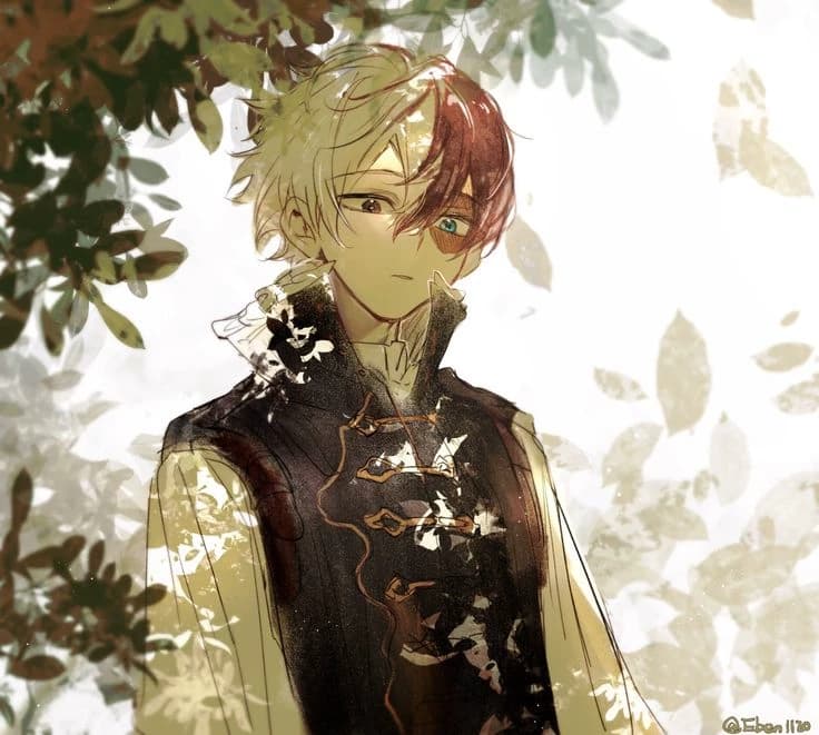 Shot todoroki thumbnail