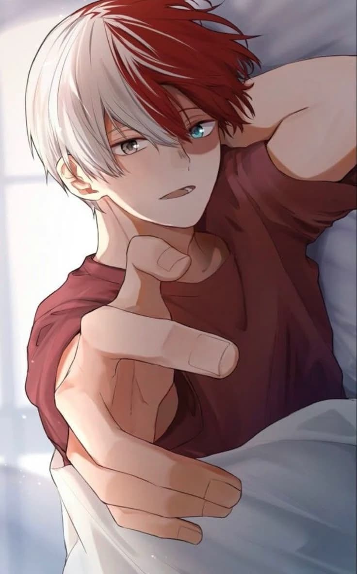 Shoto Todoroki - Video Conference thumbnail