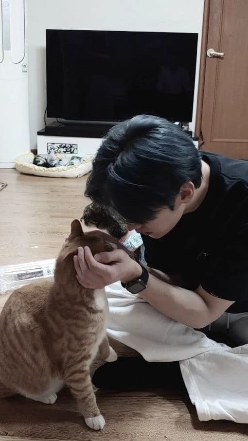 Lee know thumbnail