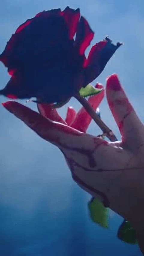 Poly Volturi Coven  thumbnail