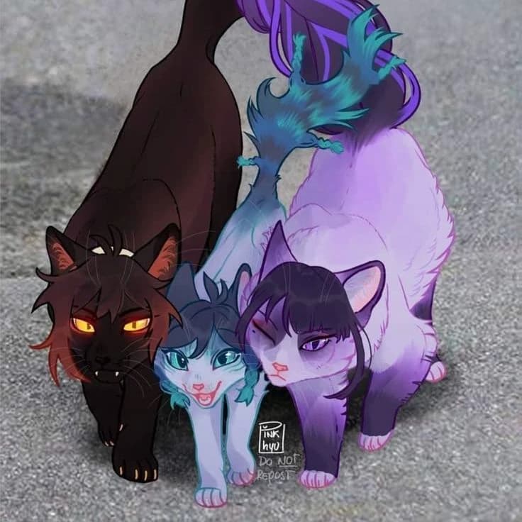cats thumbnail
