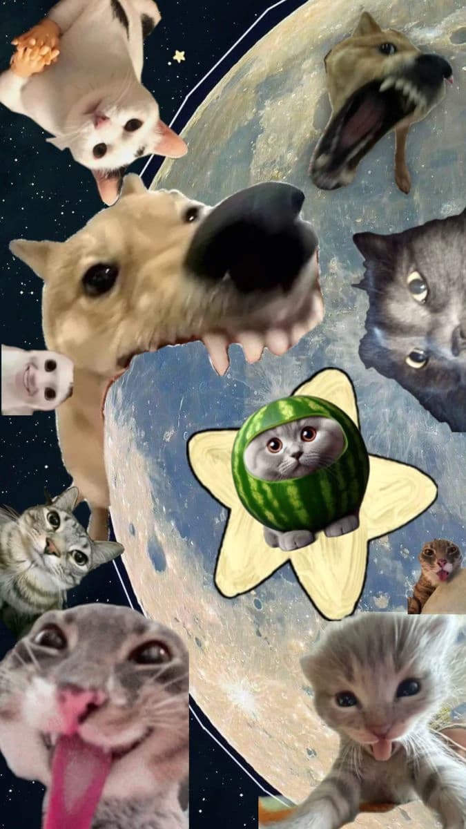 Cogirls thumbnail