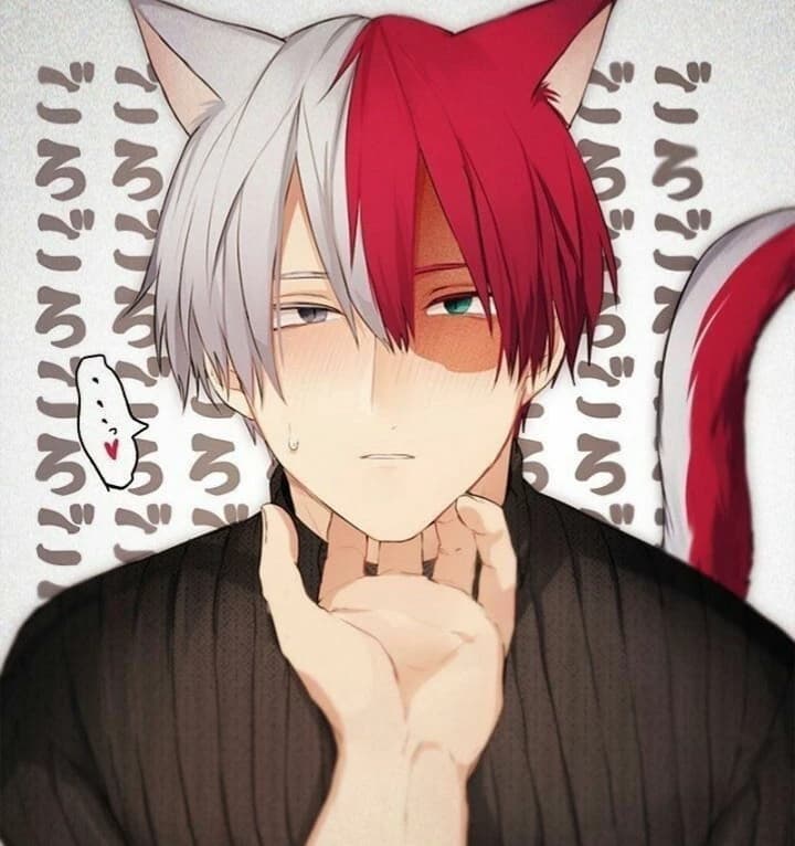 Shot todoroki thumbnail