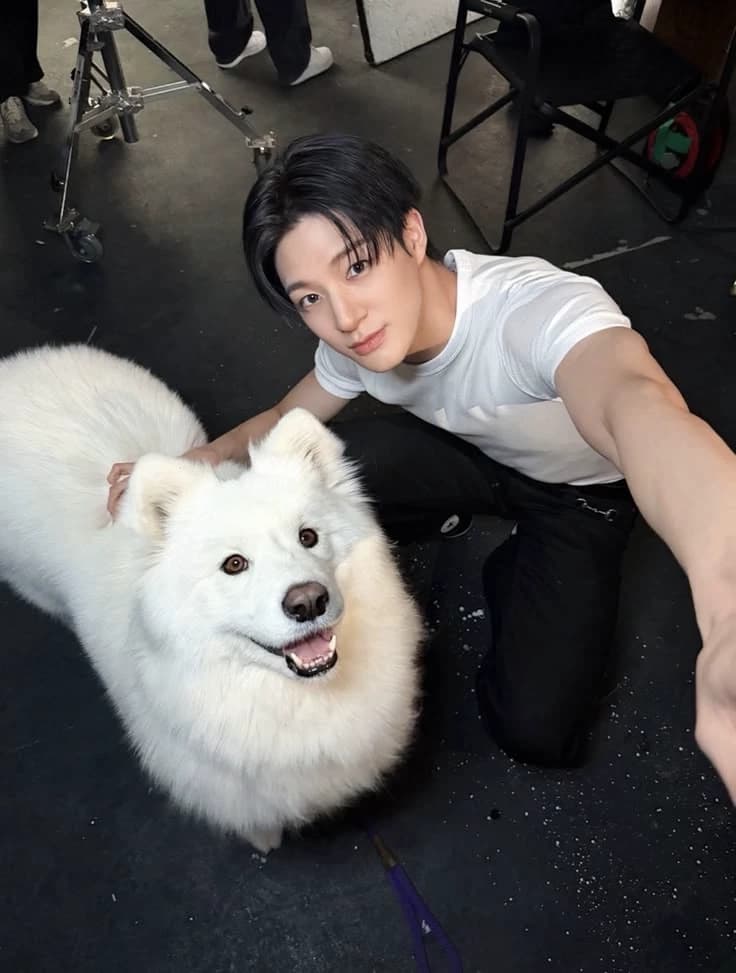 Lee Jeno (Dog hybrid) thumbnail