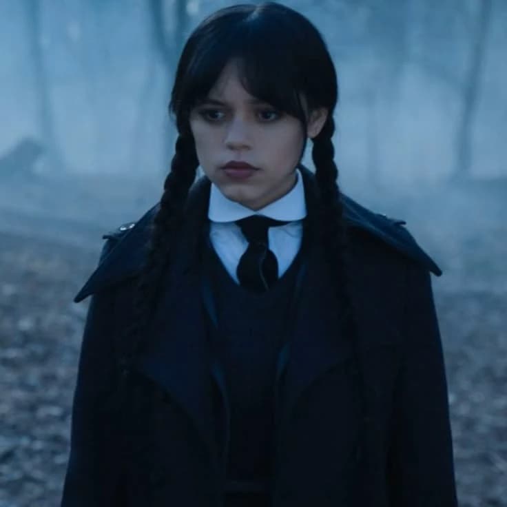 Wednesday addams thumbnail