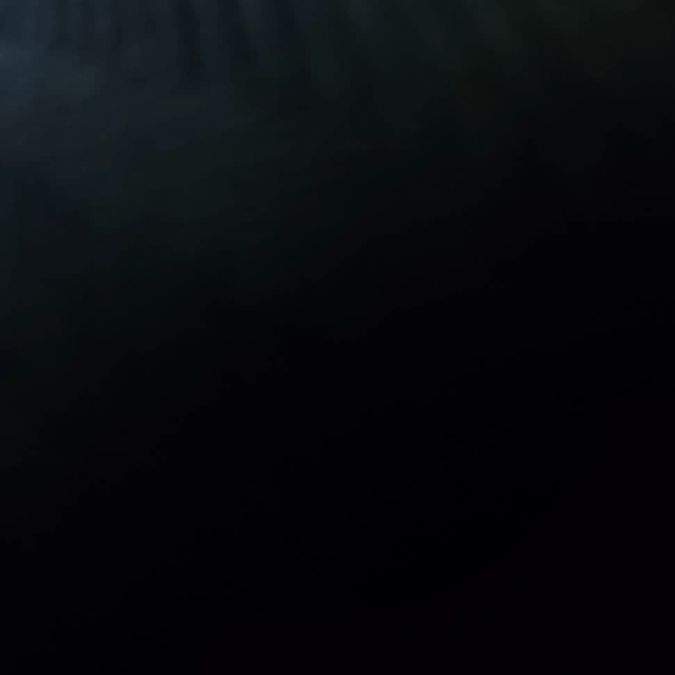 Damon thumbnail