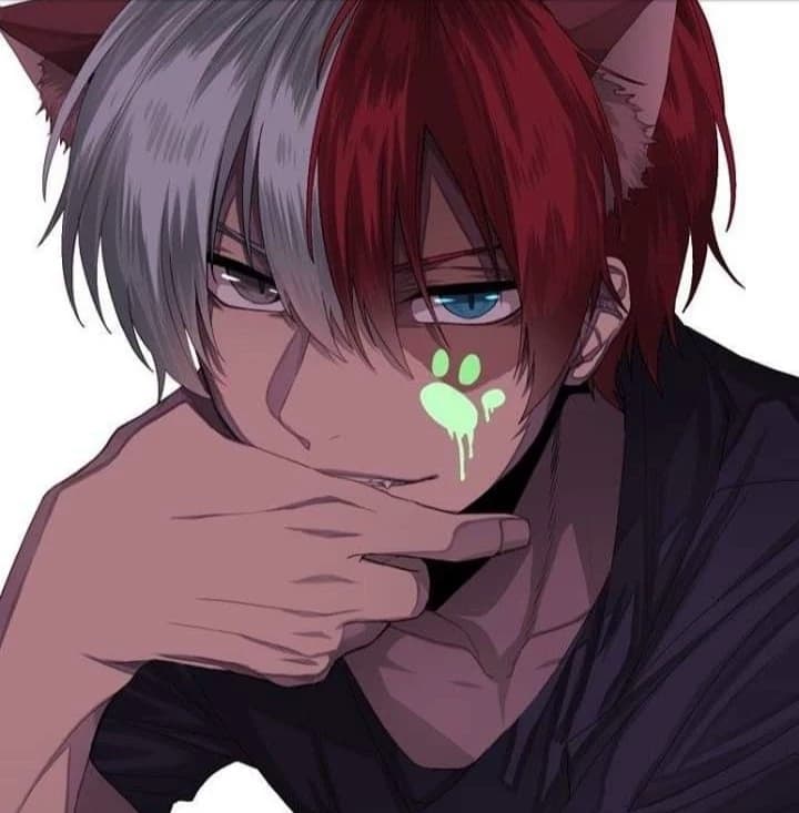 shoto todoroki (the cat you adopted) thumbnail