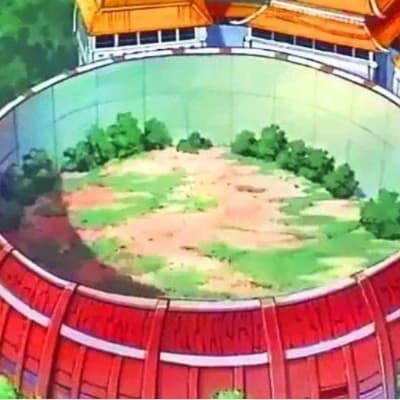 Chunin exam - 2nd part thumbnail