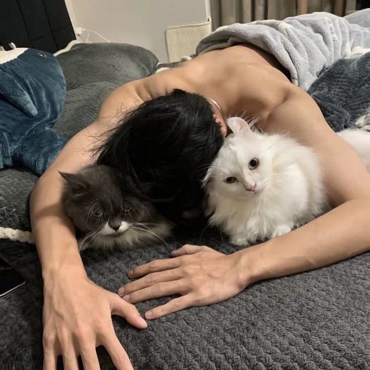 Daniel thumbnail