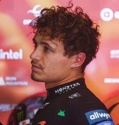 Lando Norris | 🍂  thumbnail