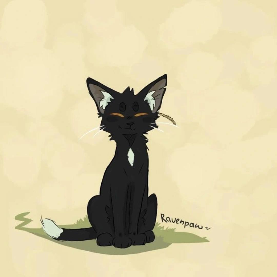 Raven's Paw thumbnail