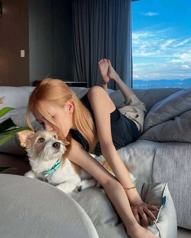 Rosé thumbnail