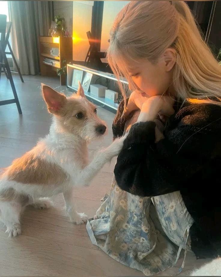 Rosé thumbnail
