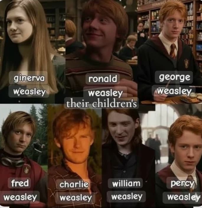 William Arthur Weasley, Charles Weasley, Percy Ignatius Weasley, Fred Weasley, R thumbnail