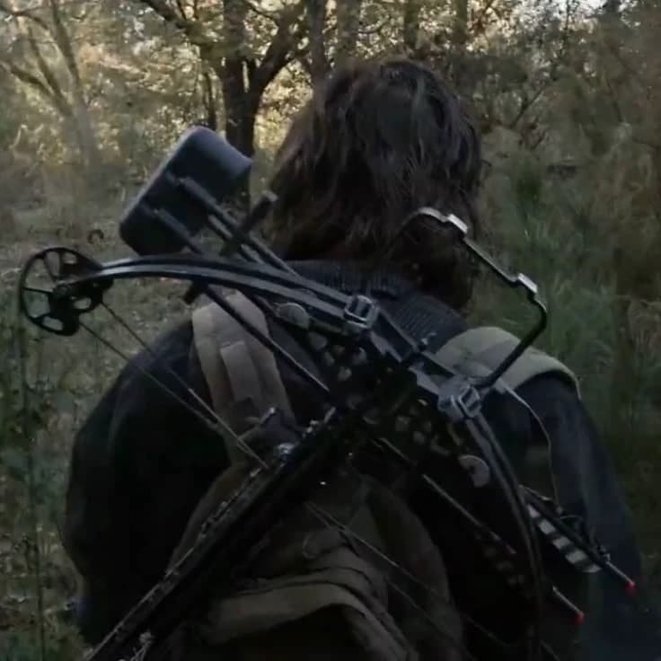 Daryl Dixon 007 thumbnail
