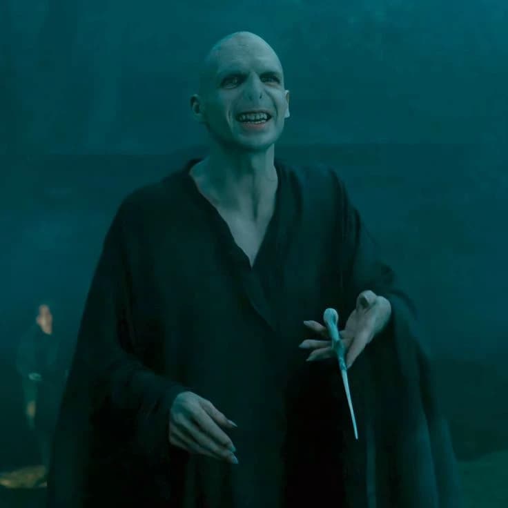 Lord Voldemort  thumbnail
