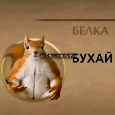 Вино, пиво, водка, спирт, коньяк и т.д  thumbnail