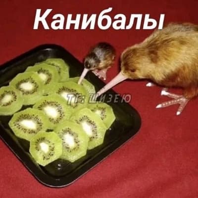 Каннибал  thumbnail