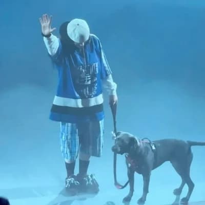 Billie Eilish thumbnail