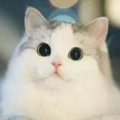 Ты котик;) thumbnail