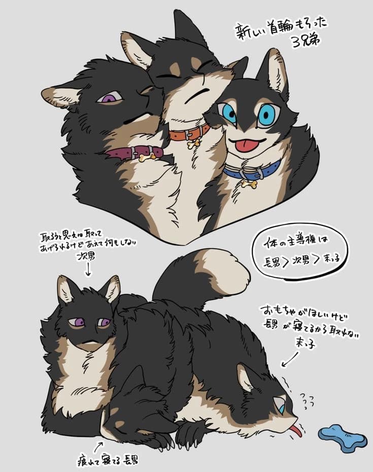 ...Cerberus... thumbnail