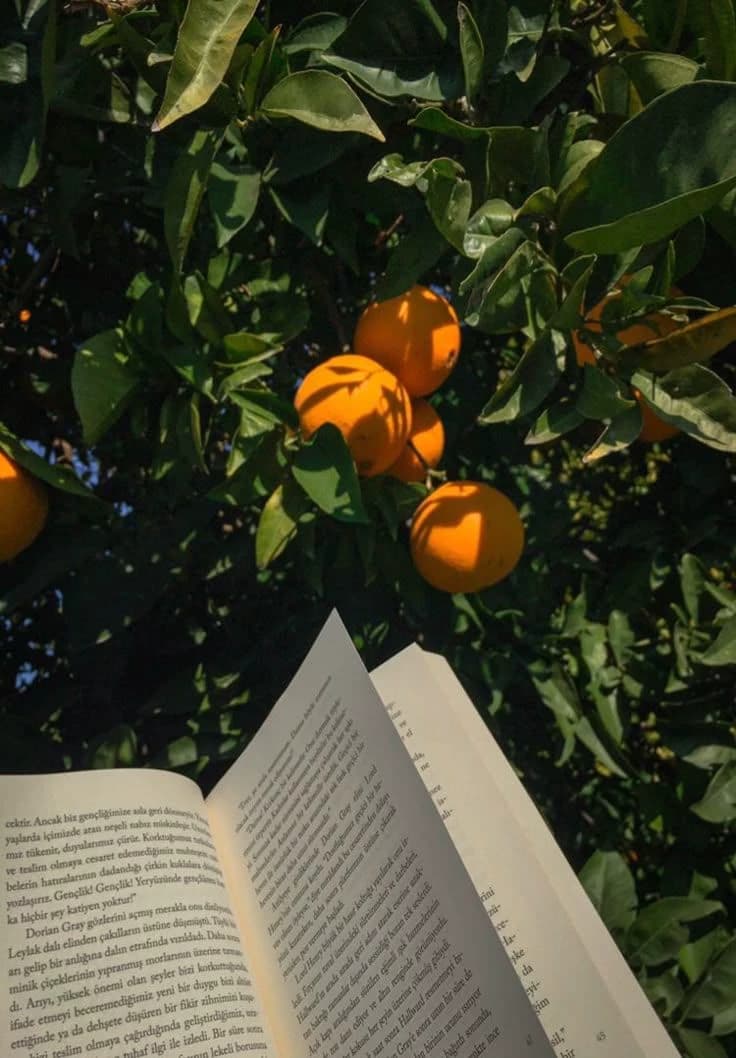 Tangerine (Based off a book) thumbnail