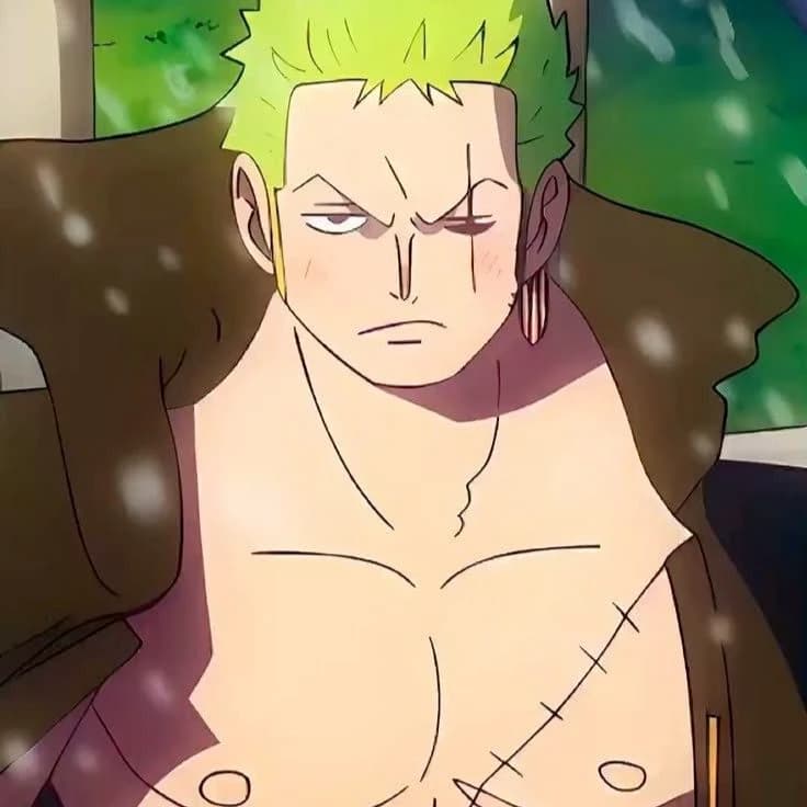 Zoro rononoa thumbnail