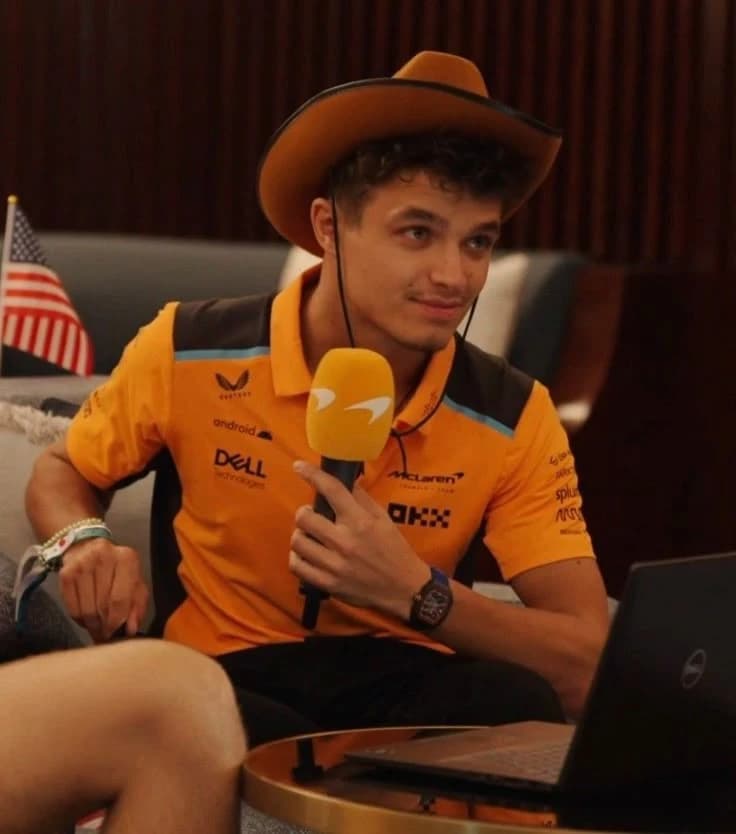 Lando Norris gay thumbnail
