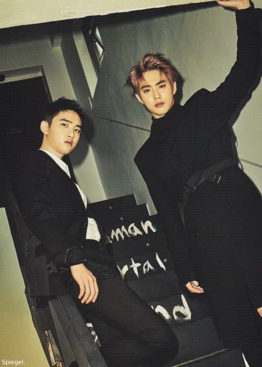 EXO — New Member Pestinha thumbnail