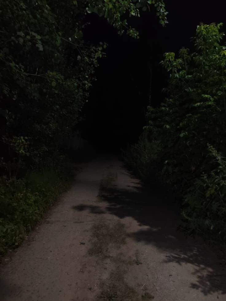 Forest Road 2 thumbnail
